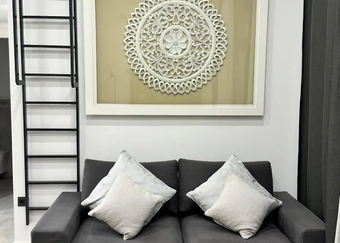 Bonita B5 丰希罗拉